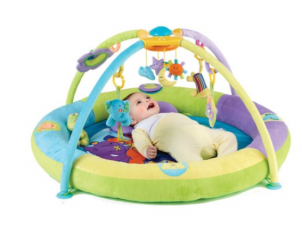 Bruin Deluxe Activity Play Gym Reviews