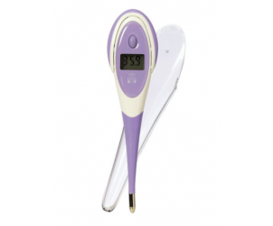 Digital thermometer reviews store