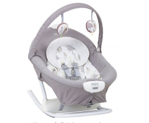 Graco Duet Sway Swing with Portable Rocker Reviews