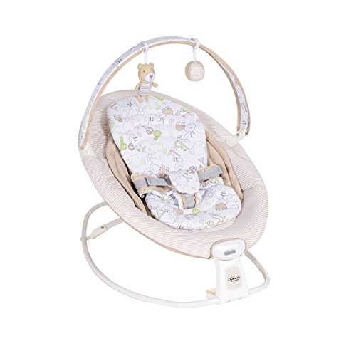 Graco Duet Rocker Swing Benny and Bell Reviews