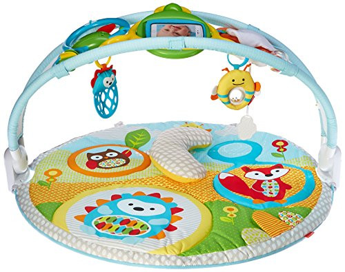 Skip hop explore and more online
