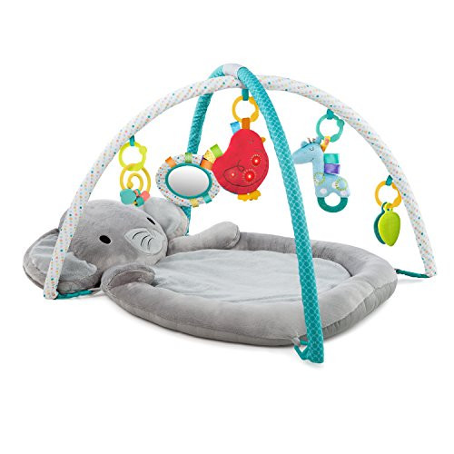 Activity gym bright starts cheap