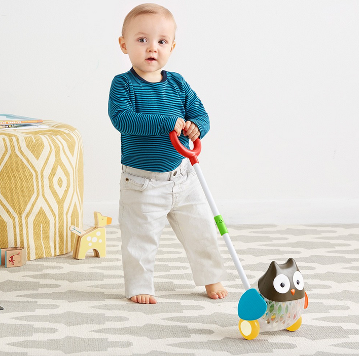 Skip Hop Explore and More Rolling Owl Push Toy Reviews