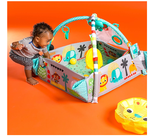 Bright Starts 5 in 1 Your way Ball Play Reviews