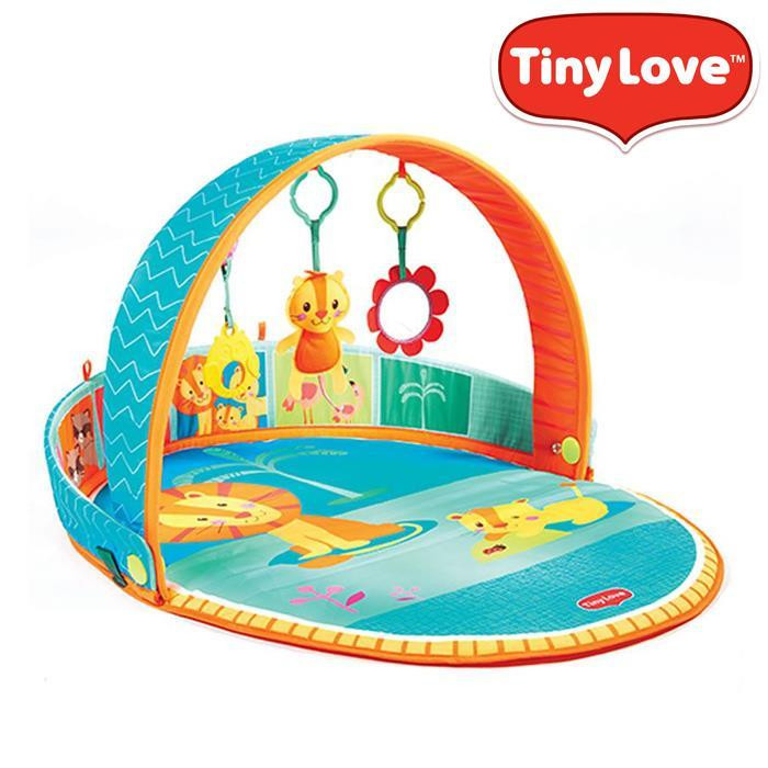 Tiny love best sale cozy