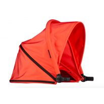 Orange Canopy Spring